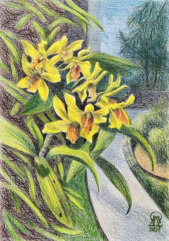 Ледяное лето...