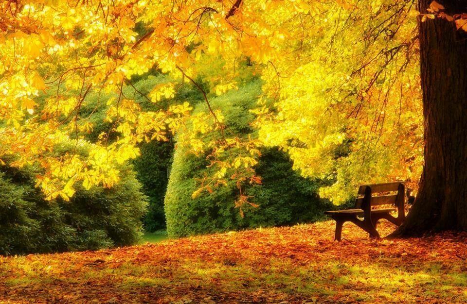 Лет отзвеневших мотив...