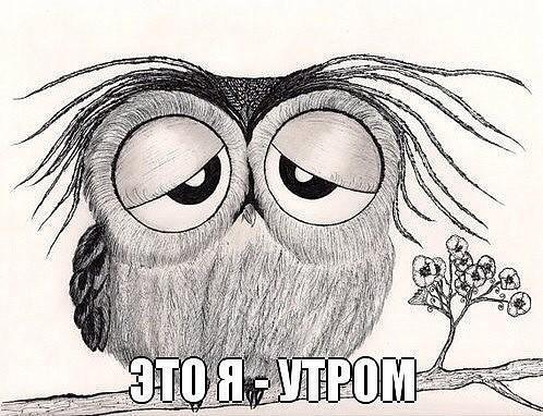 Я помню спать легла