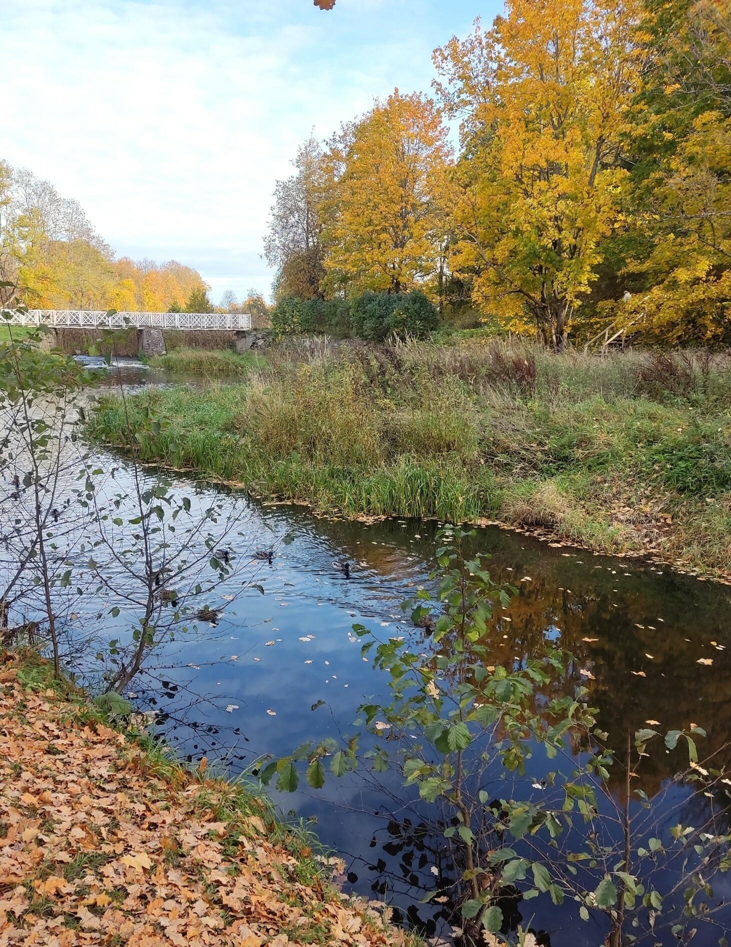 Тихая осень