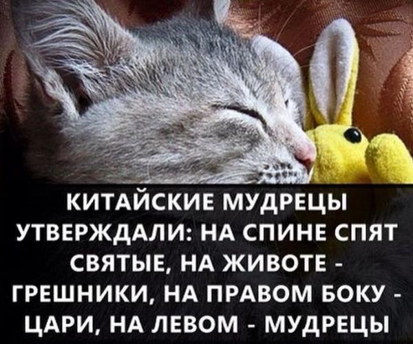 ВО ВРЕМЯ СНА - (с улыбкой)