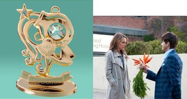 Мой любимый ВОДОЛЕЙ