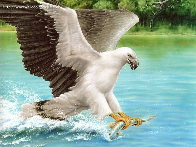 ДУША -ПОДРАНОК ... читает автор .