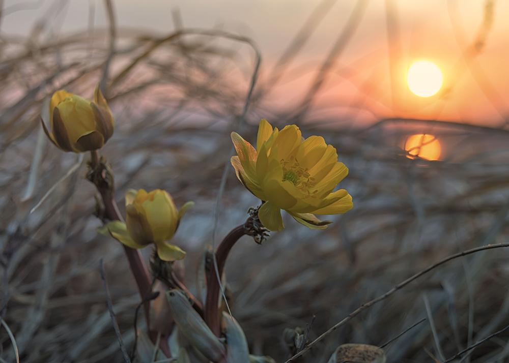 Ждут  нас  дача, огород...