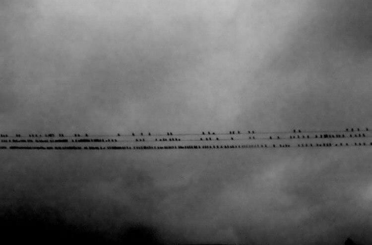 жертвовать