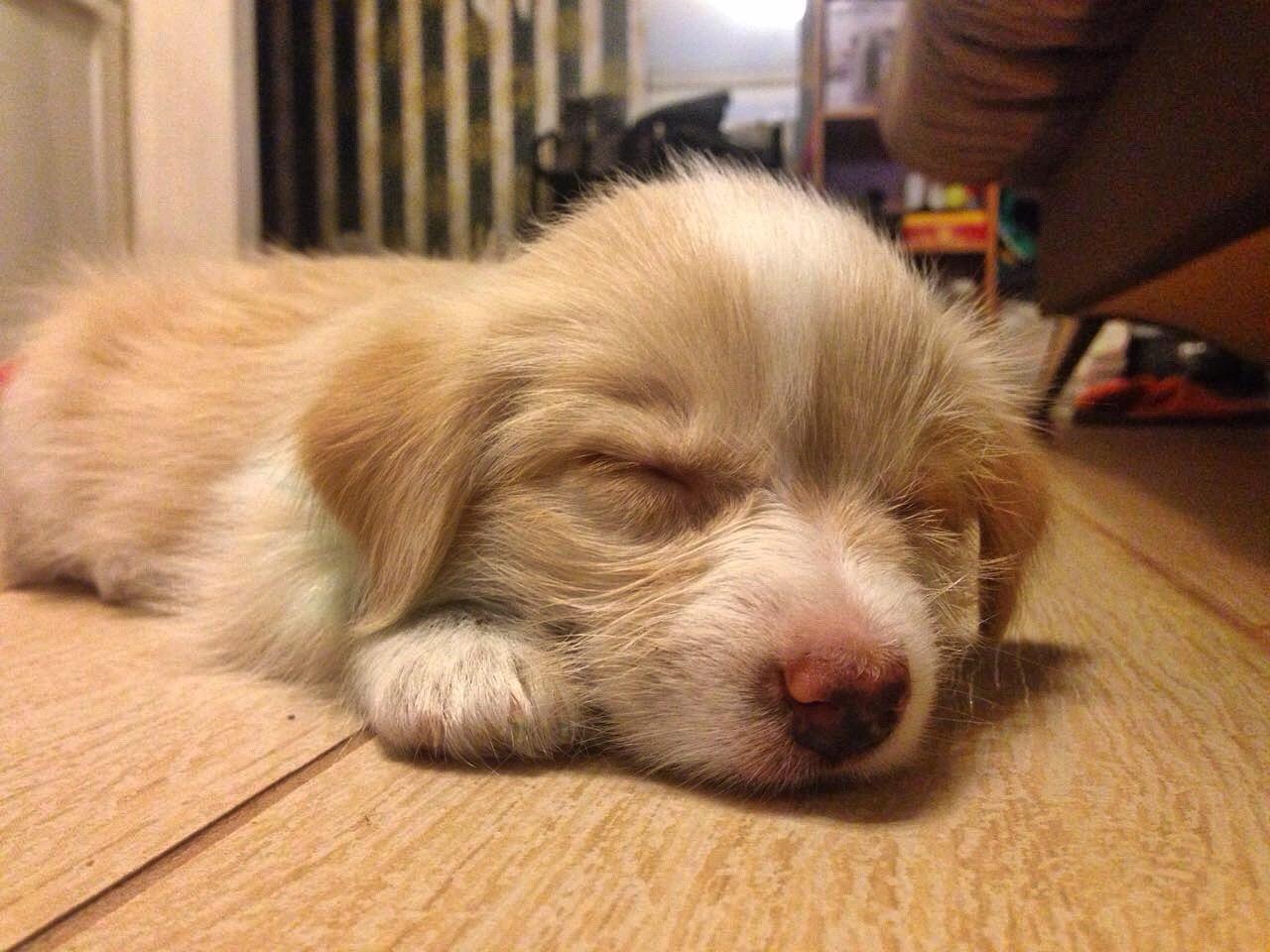 Пополненье