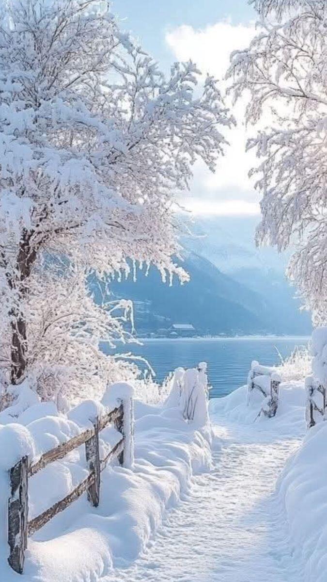 Январские холода