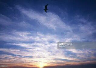 ЖДЁМ АПРЕЛЬ...