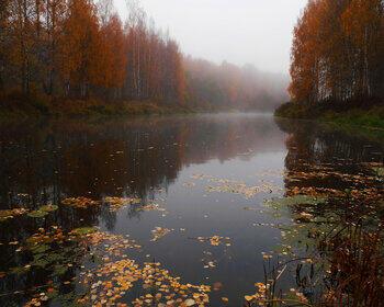 Прогулка по Памяти