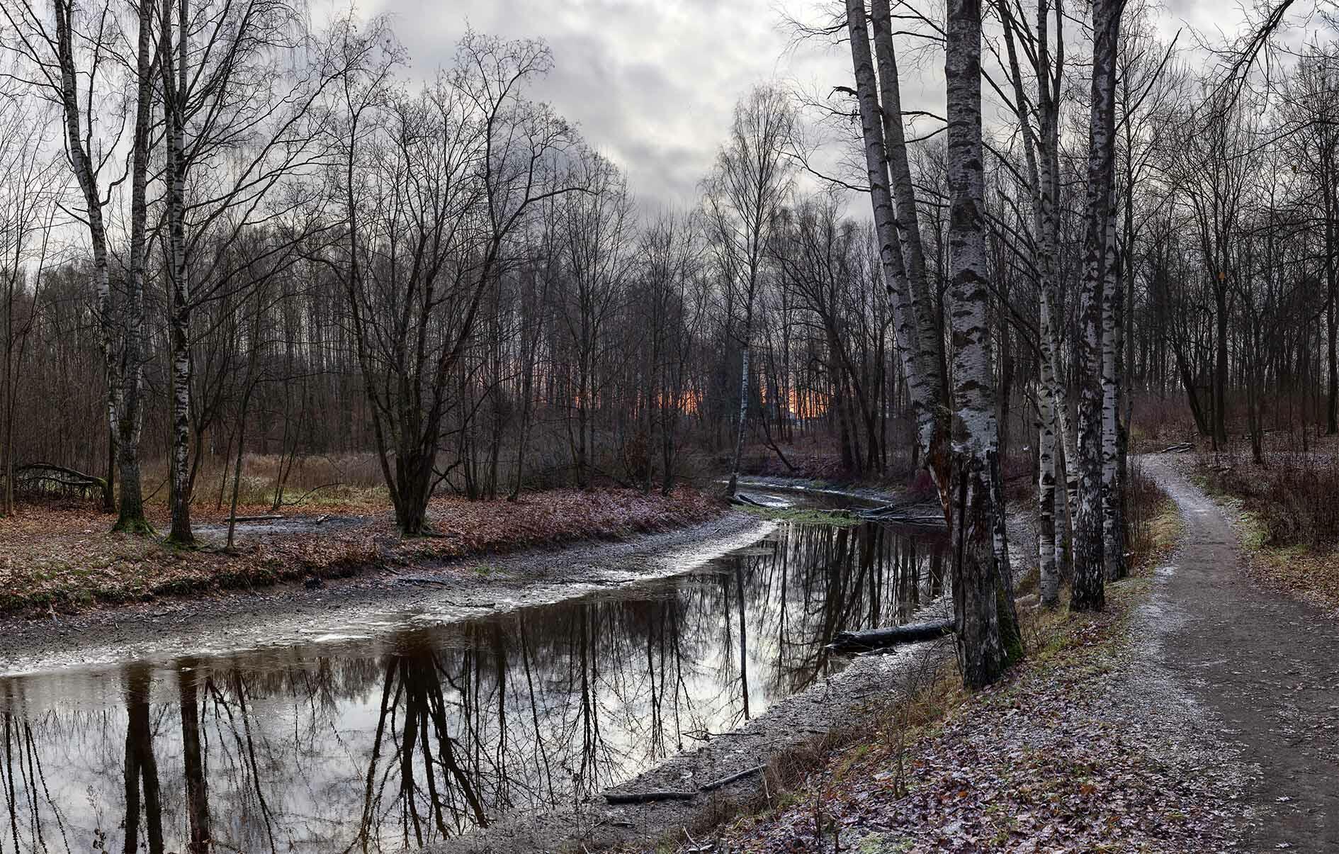 Осень поздняя