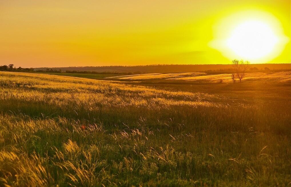 Вновь в тоске без излюбленных губ!..