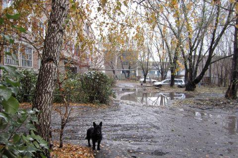 Поздняя осень