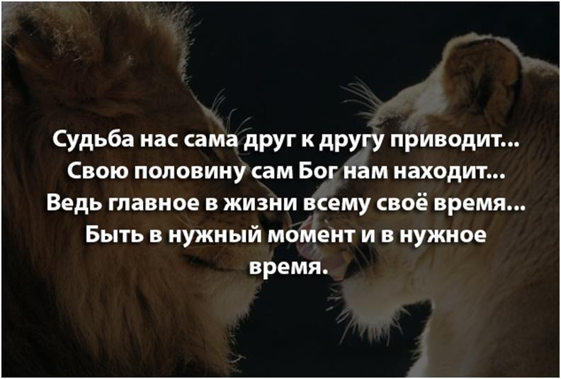 Чего у нас есть. Судьба нас сама друг к другу приводит. Судьба приводит к нам людей которые нужны. Высказывания о второй половинке. Вторая половина цитаты.