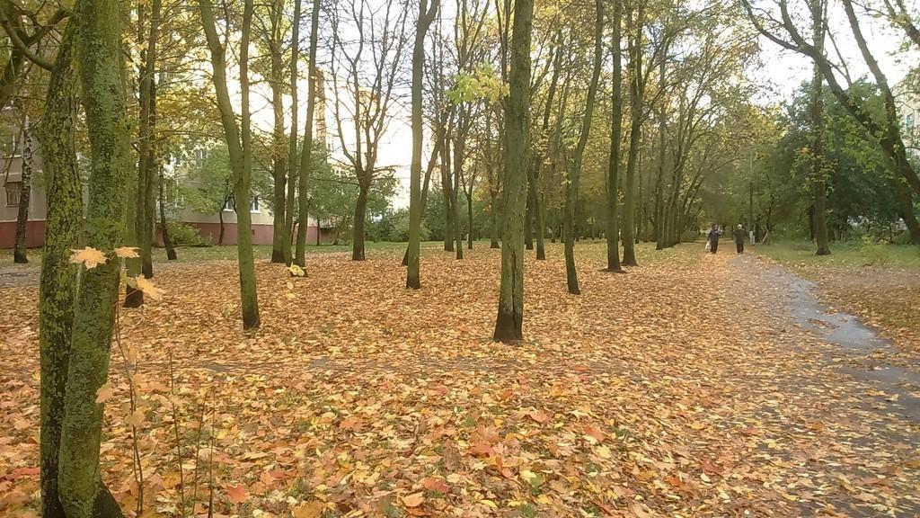 Золотая пора...