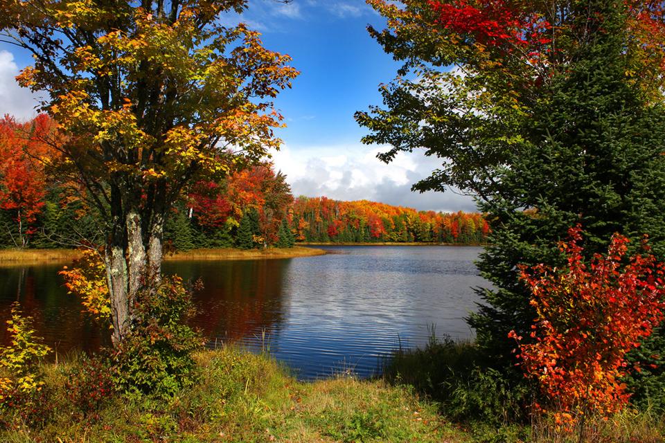 Золотая осень