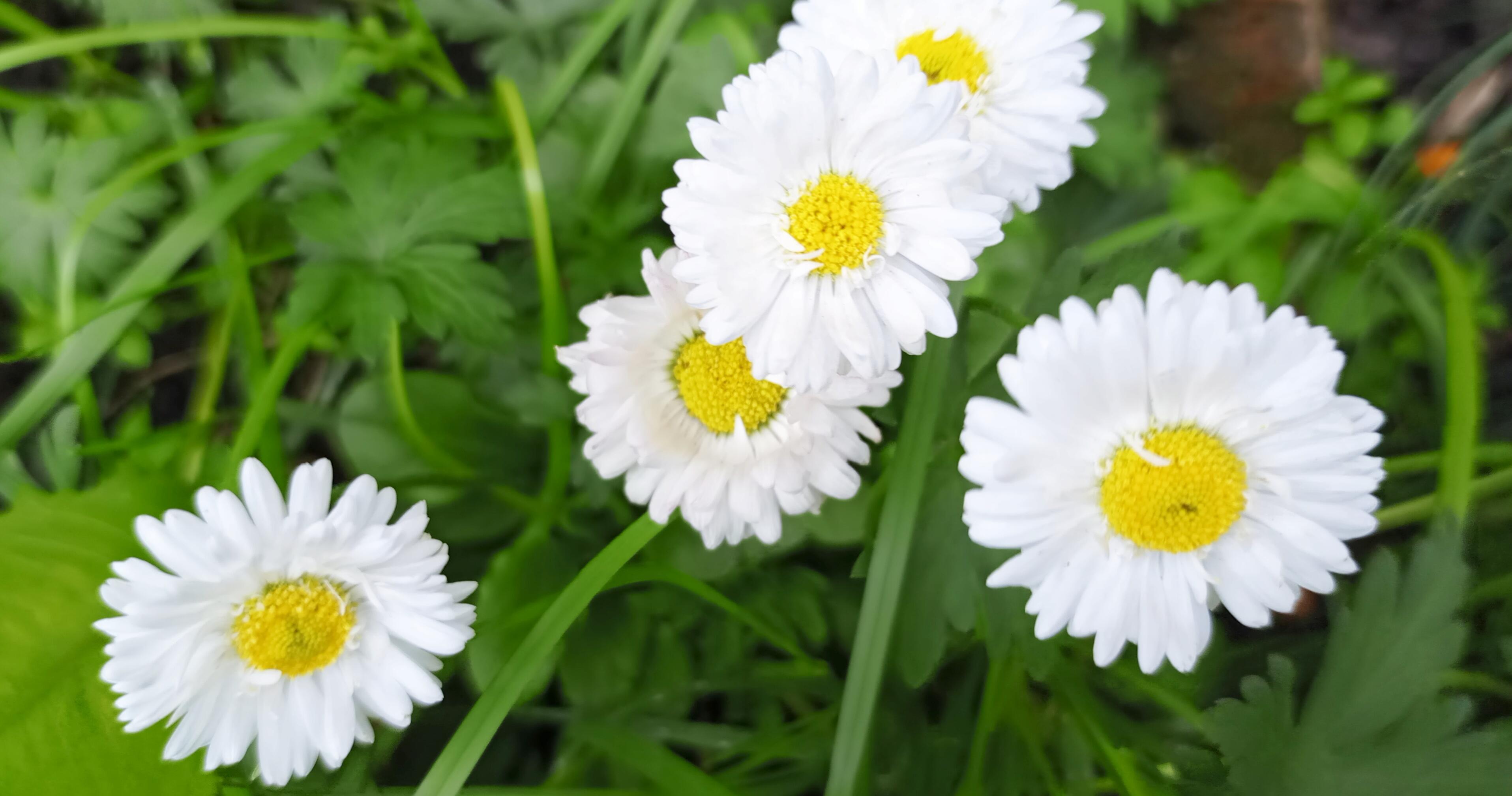 Немного солнца в наших душах.