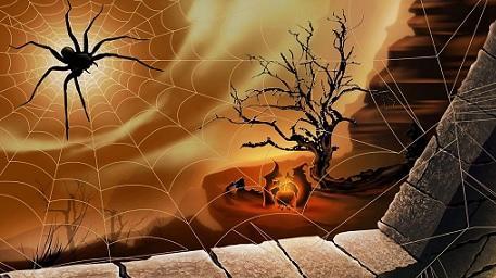 Паутина судьбы