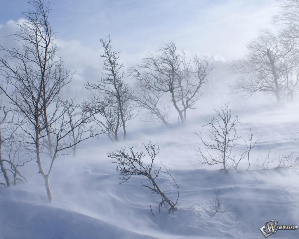 НЕГОДАВАНИЕ ПРИРОДЫ.