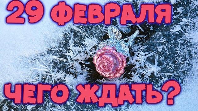 01466 Вновь в год пришедший високосный