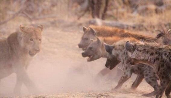 непрогнувшемуся