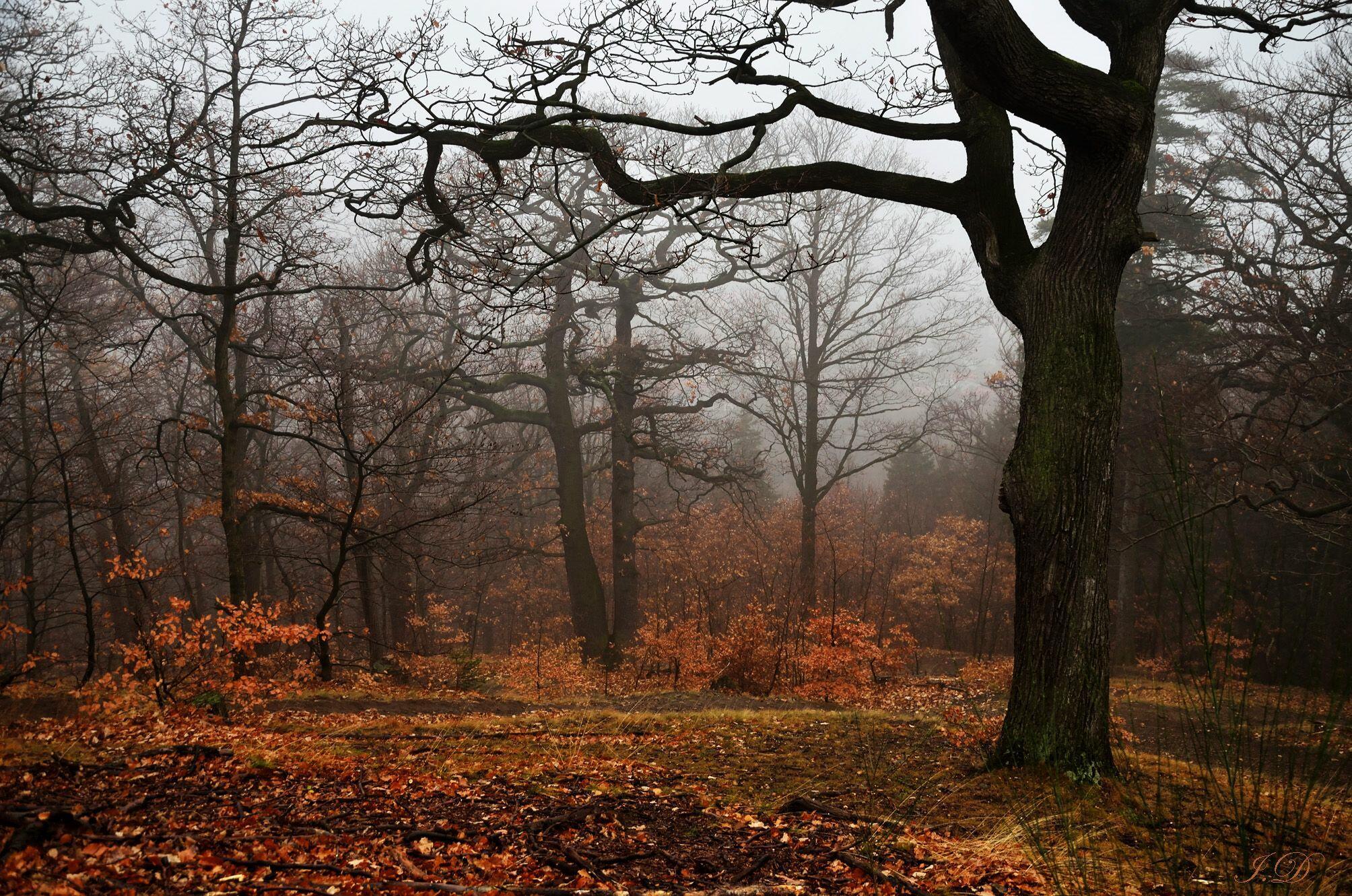 Уходит осень