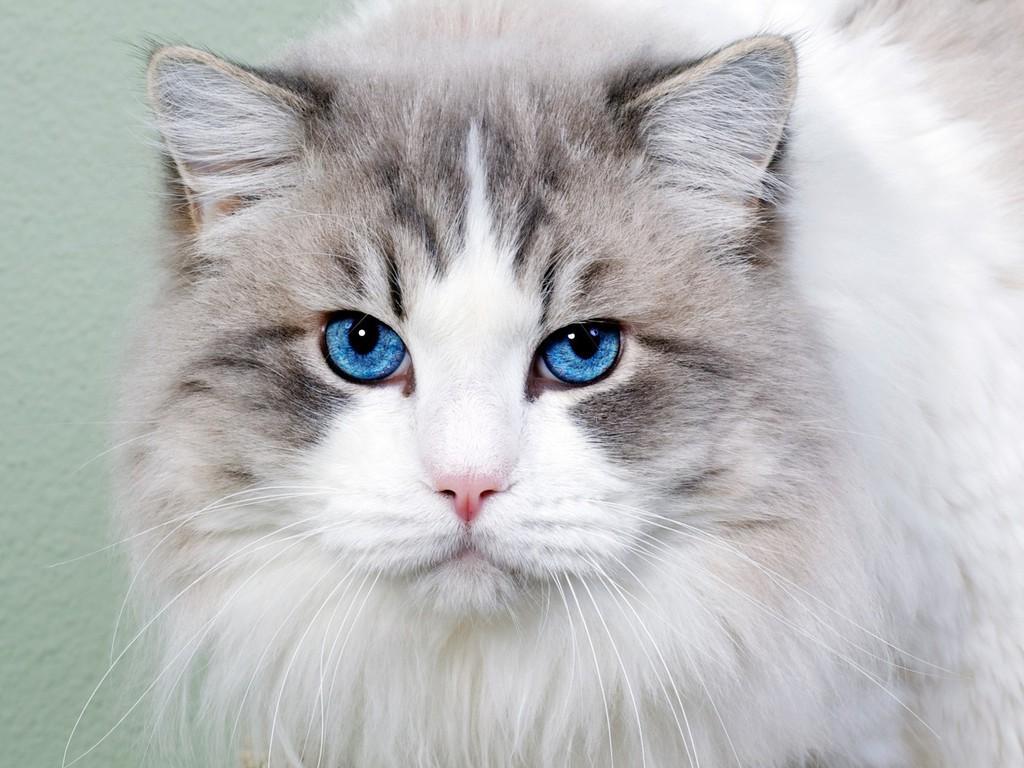 ВИДНО И ВО ТЬМЕ