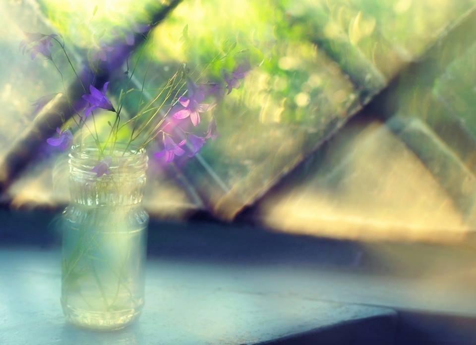 Зарисовки. Цветное настроение