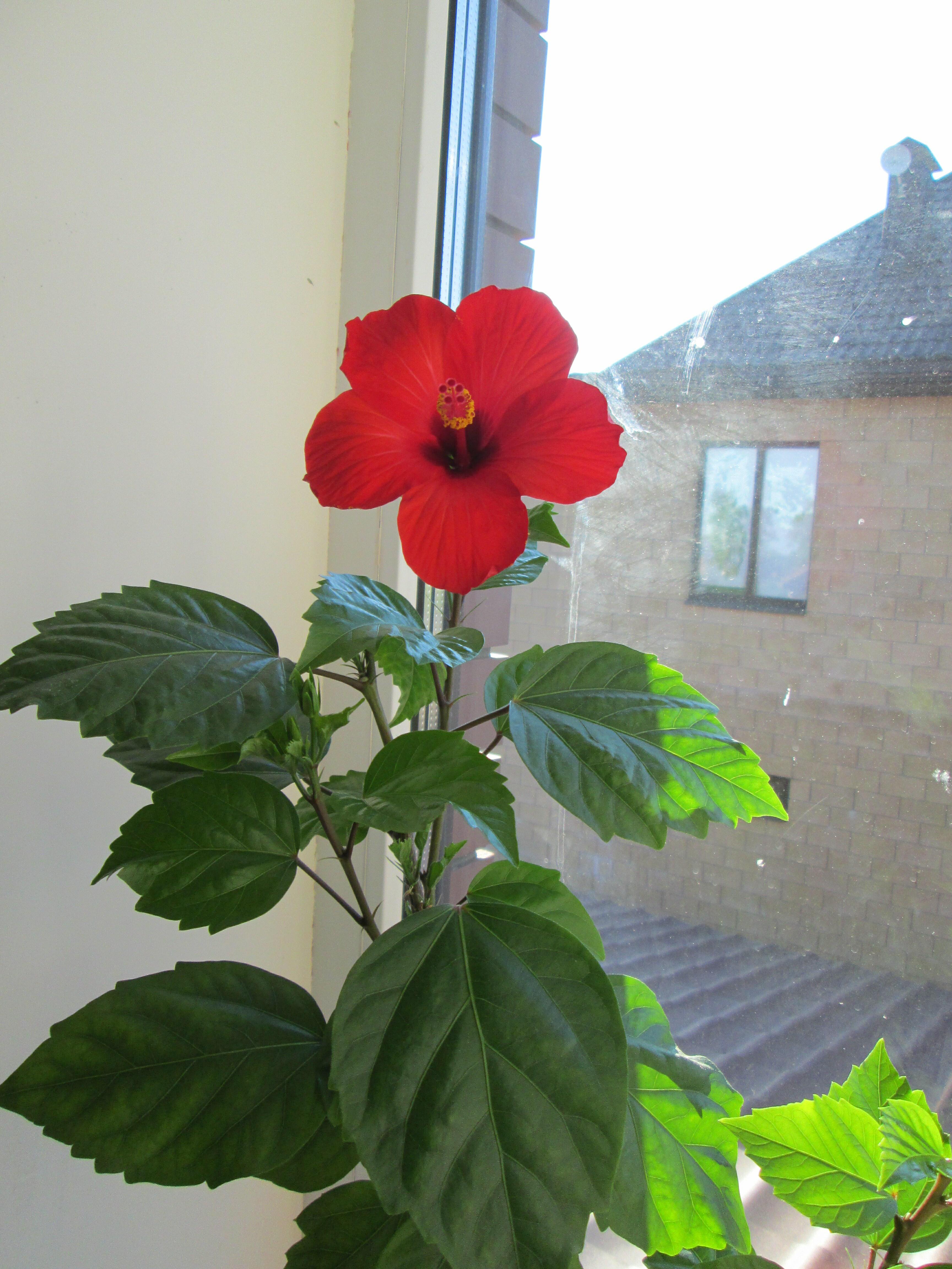 ПОРА К РАБОТЕ