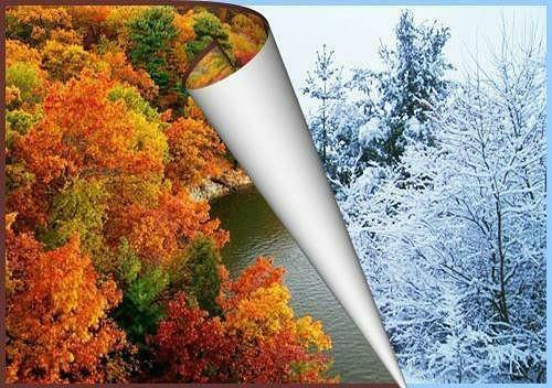 ОСЕННИЕ АНТИТЕЗЫ