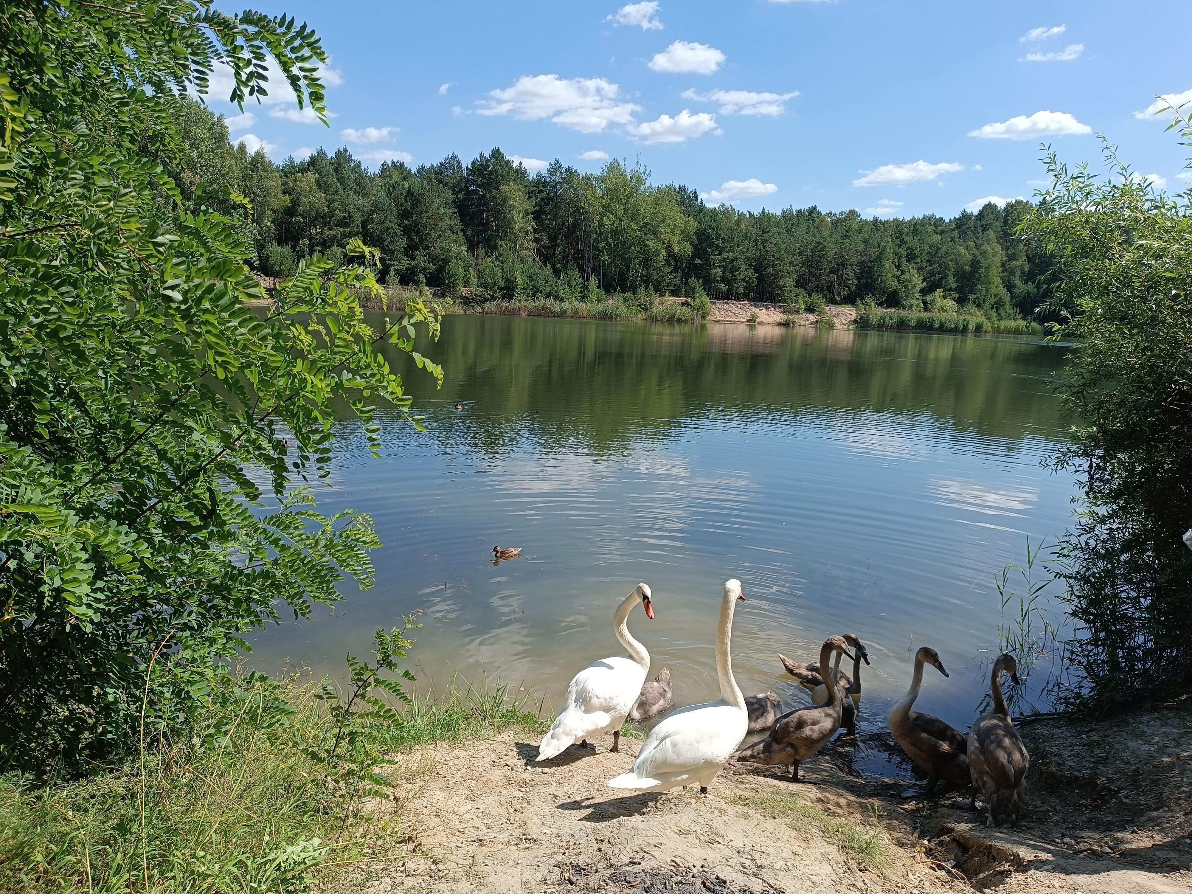 Верить в сказку