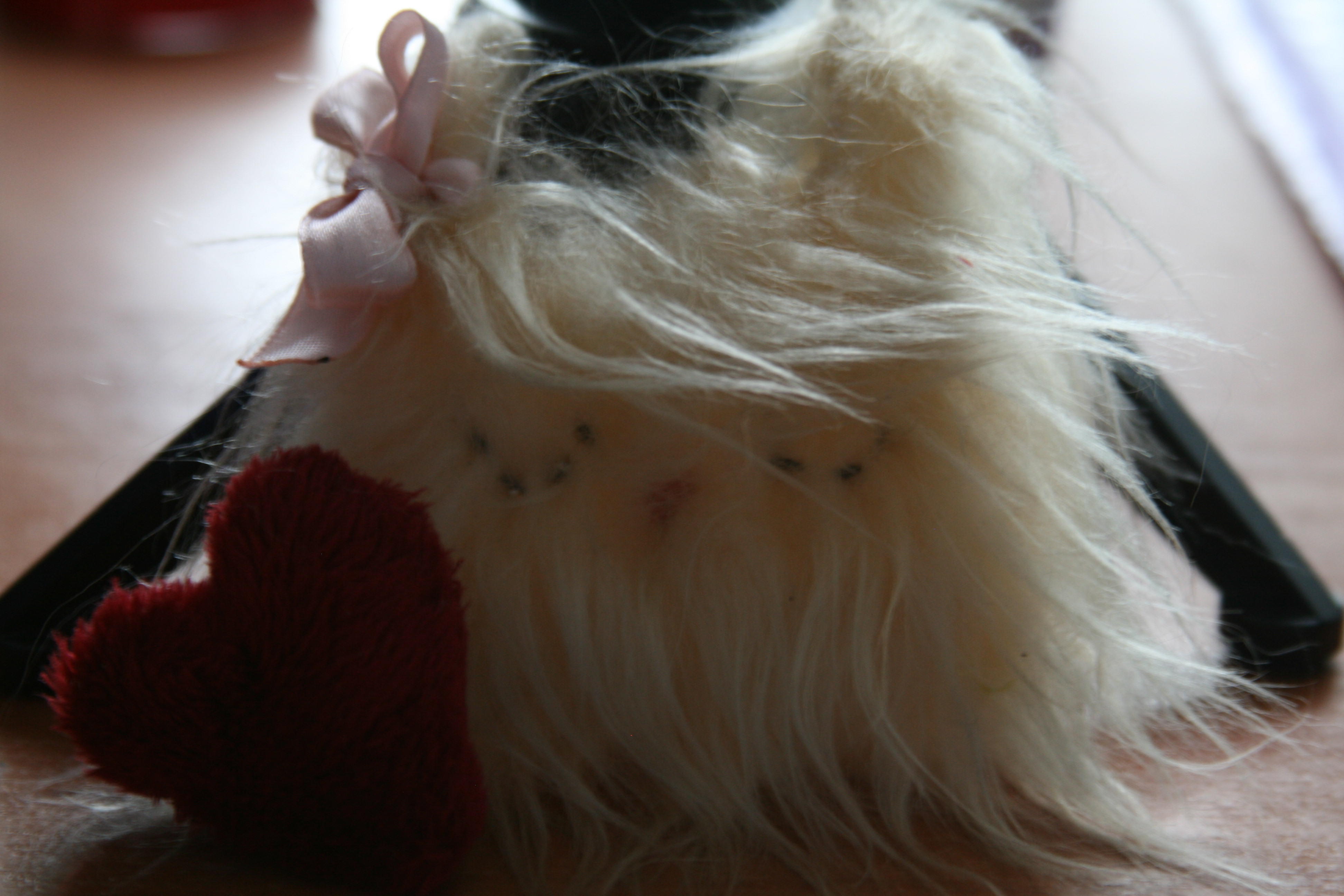 Правители снов.