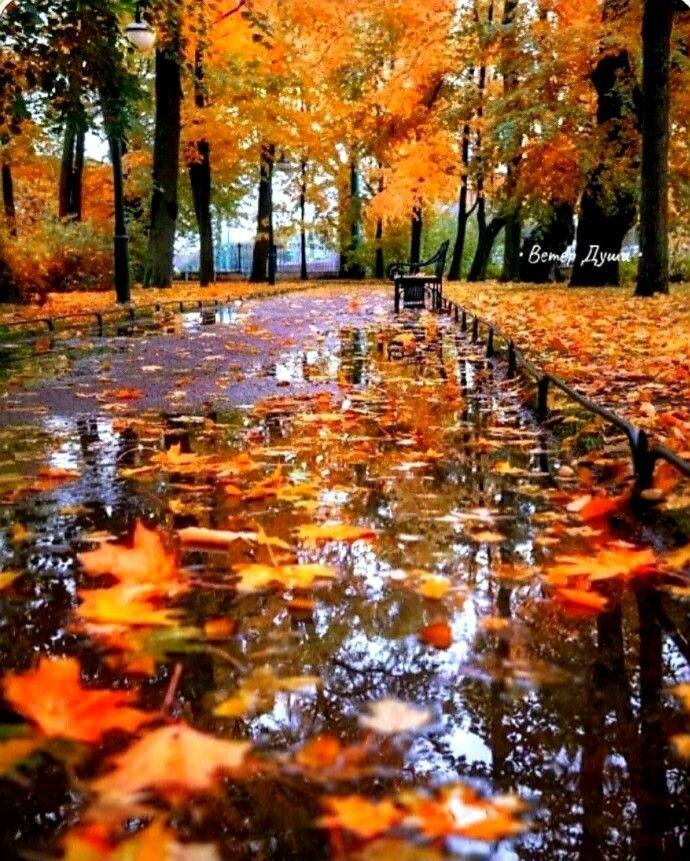 Вот и осень 