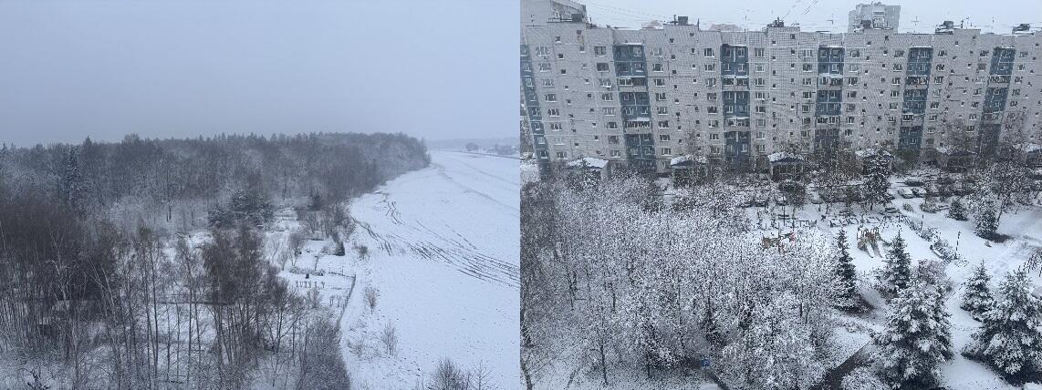 Весенний сон