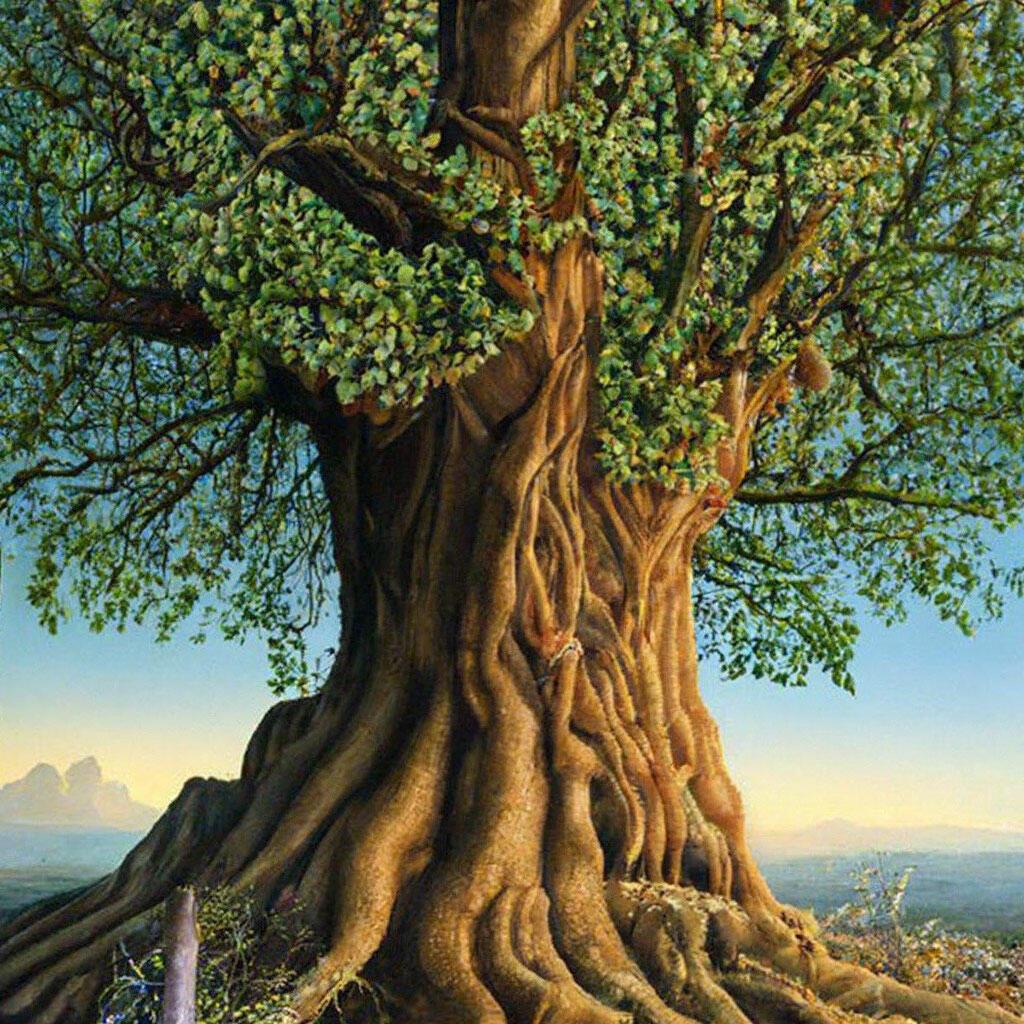 ШУМЕЛ О ДЕВЕ СТАРЫЙ ЛЕС - 2