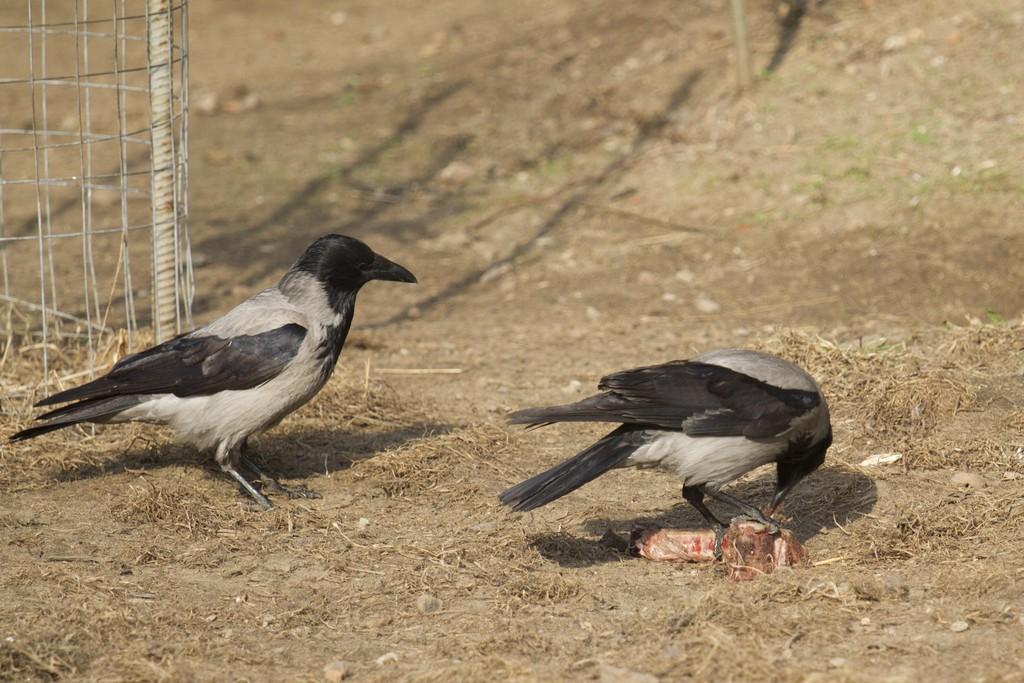 Доброта - надежда...