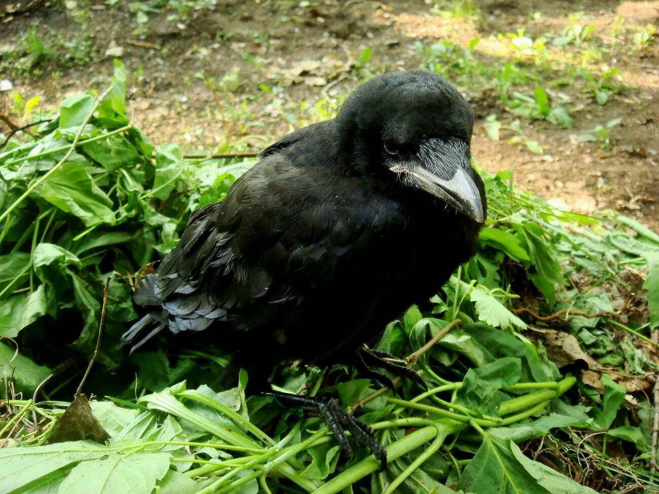 Как же так?..