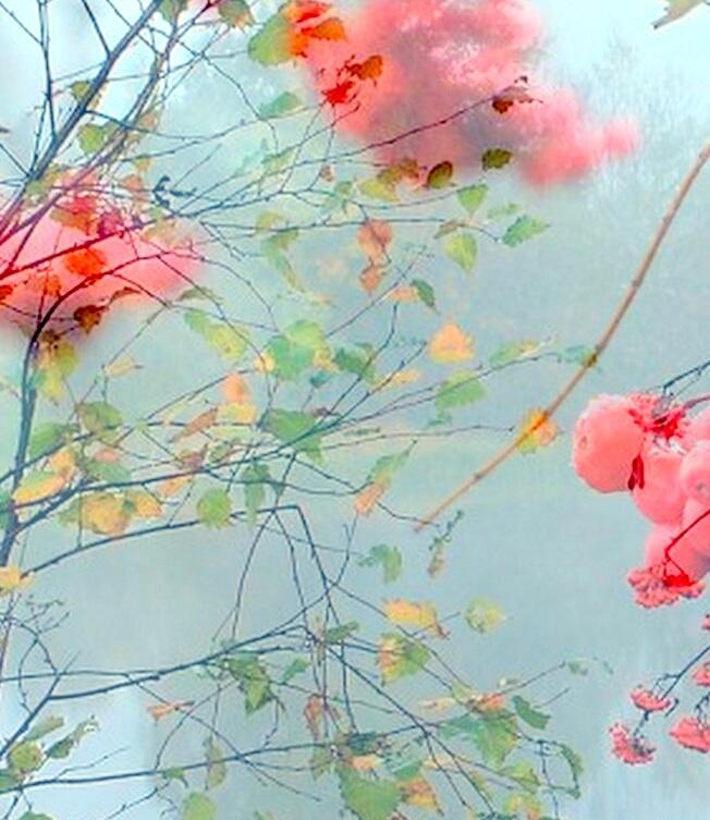 Заказанное