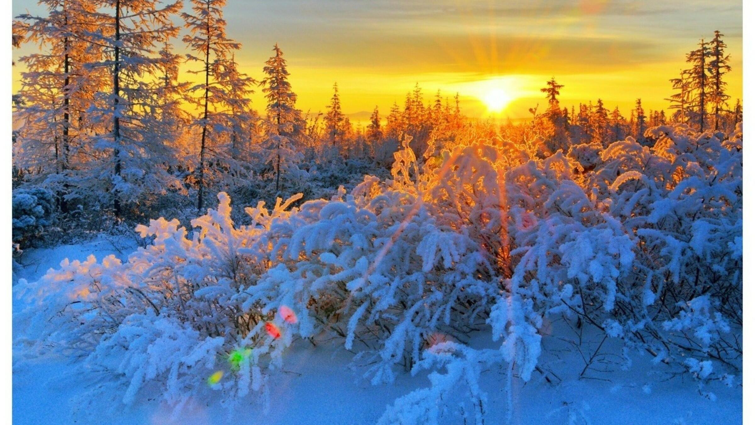 Snow is beautiful. Зимний пейзаж. Морозное солнечное утро. Зимнее утро. Зима солнце.