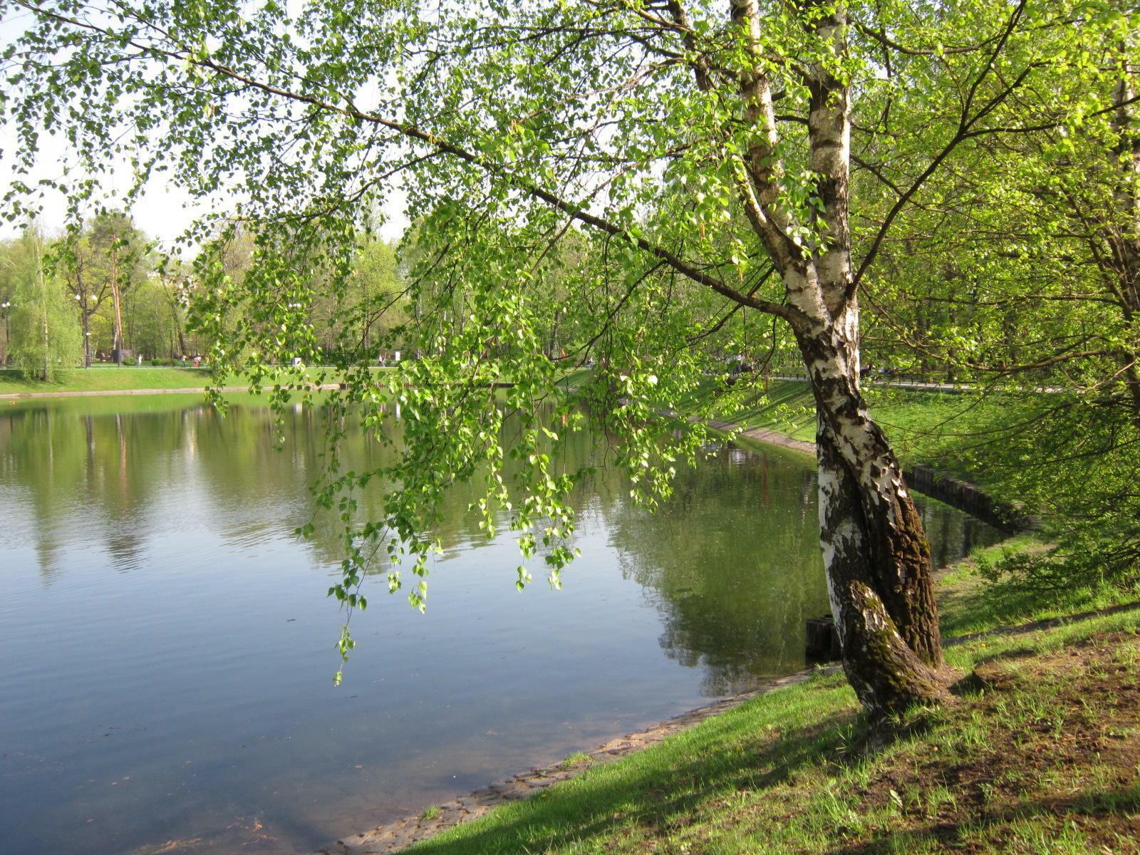 Мои афоризмы №7