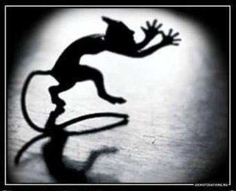 В ГРЕХОВНОМ КОЛЕСЕ