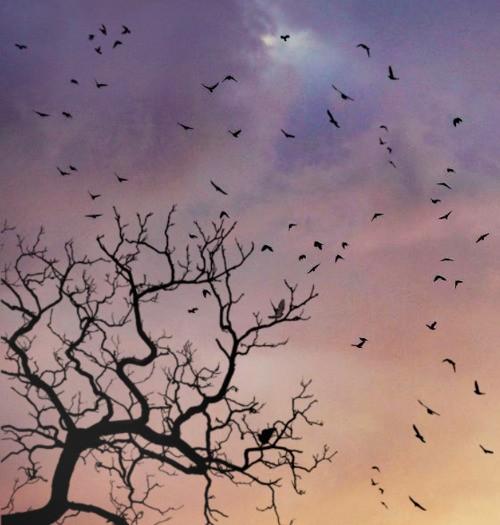 Свет мечты в глазах твоих унылых