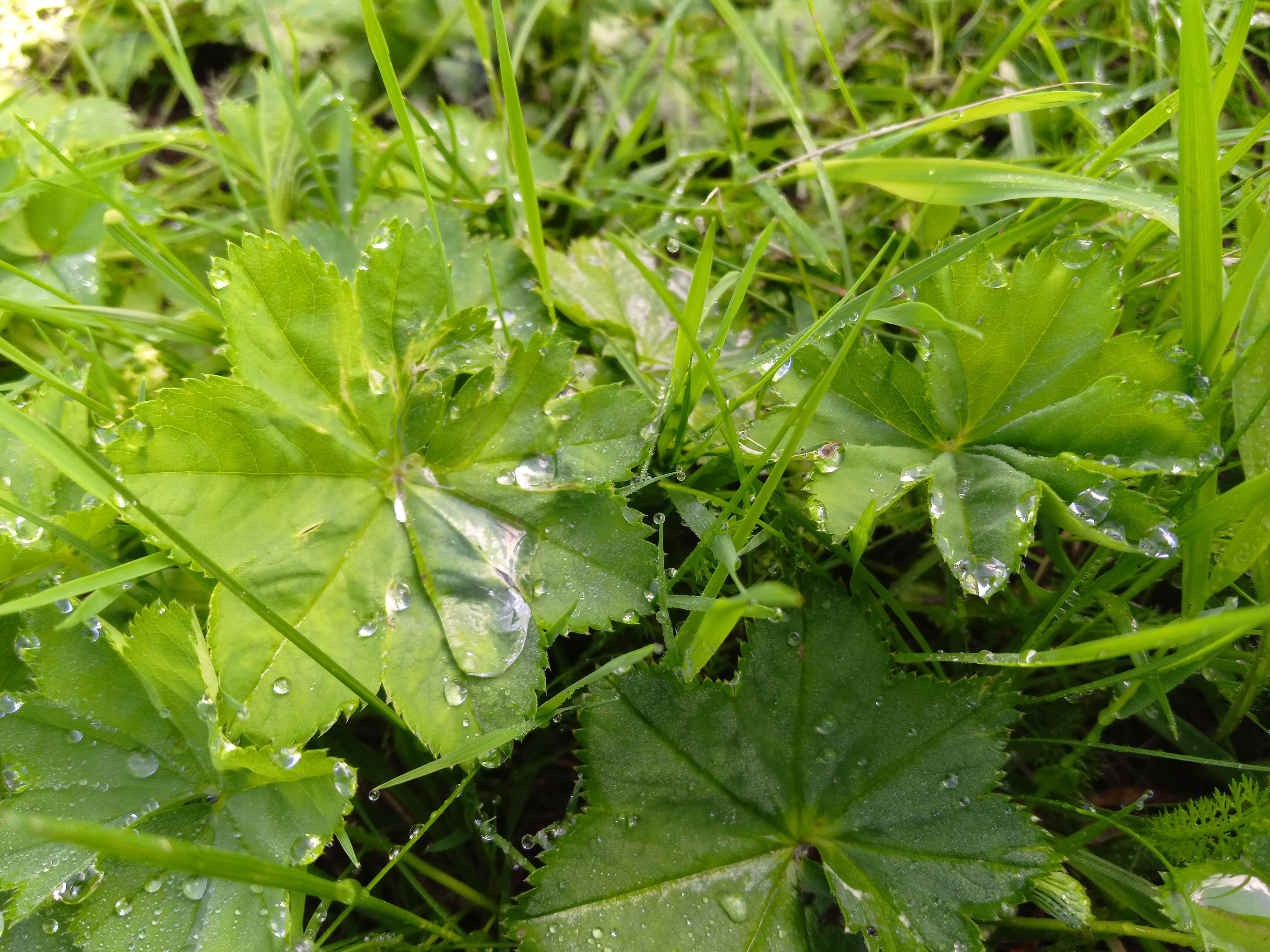 Что бы ты ни говорила