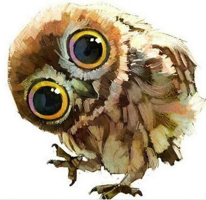 По ленте бытия 