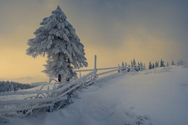 Зимняя октава