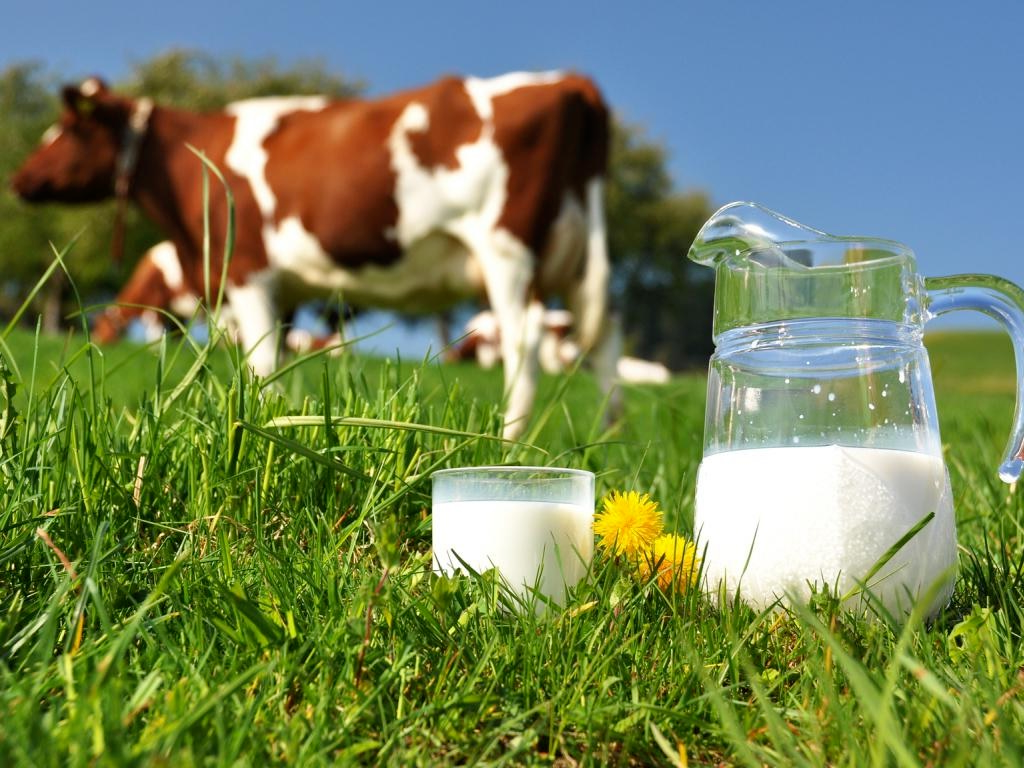 РОСТИСЛАВУ – КУЗНЕЦУ СЧАСТЬЯ - Короткий Стих № 31