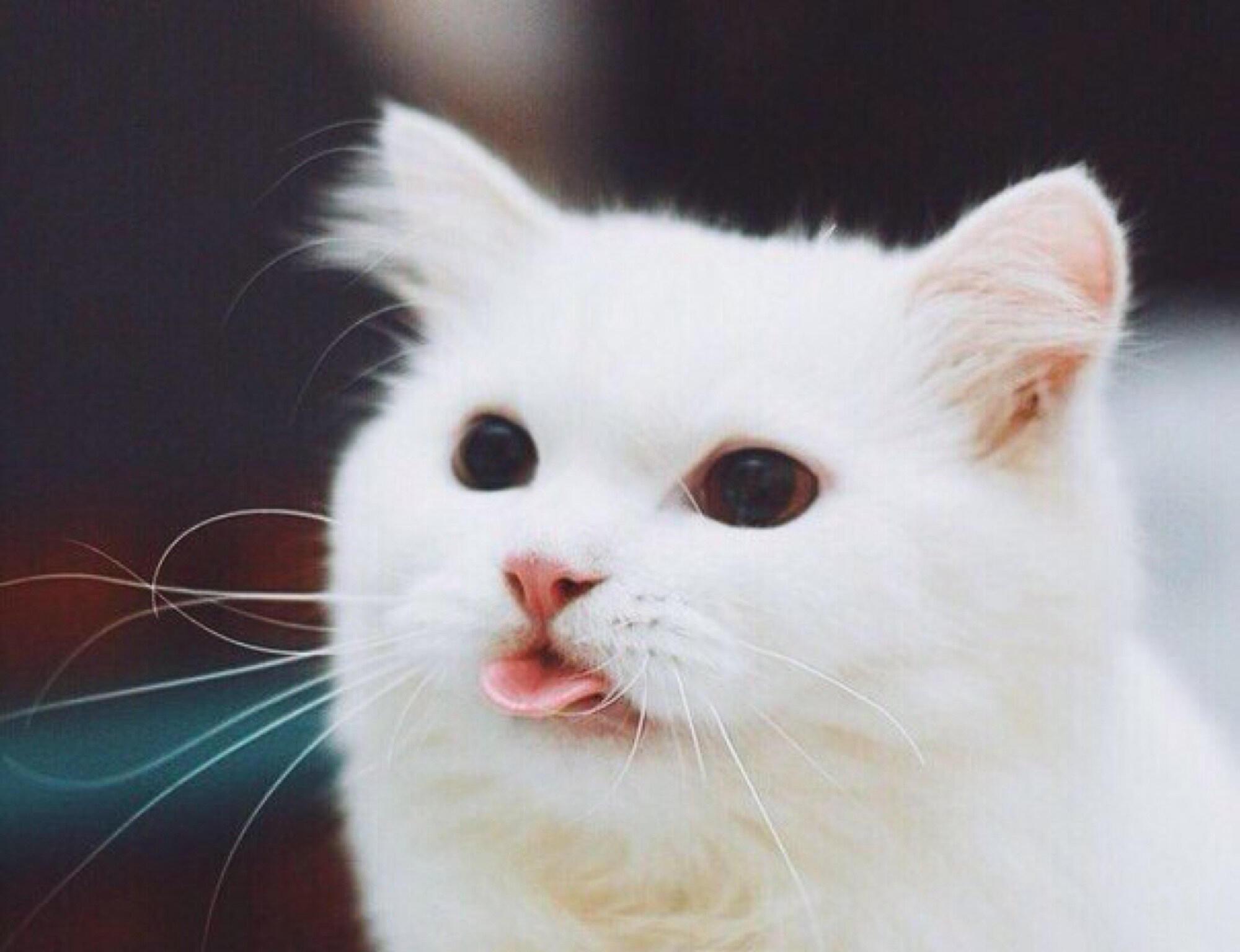 Утро. Чудите сами!