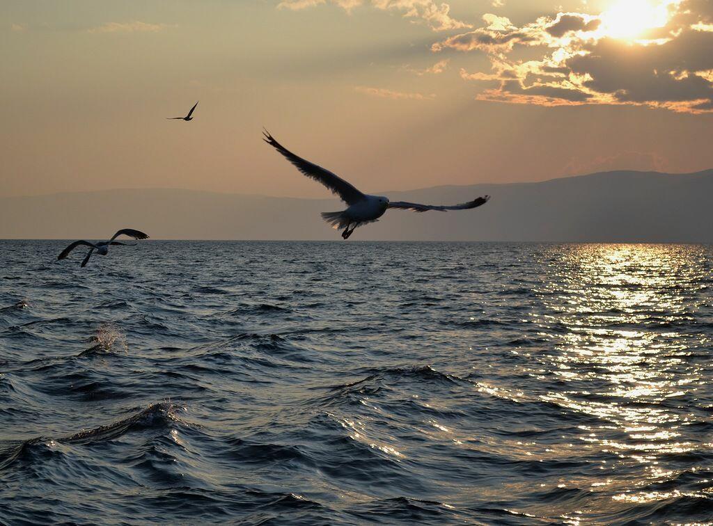  Сонная песня -стихи,музыка -Игорь Михалёв