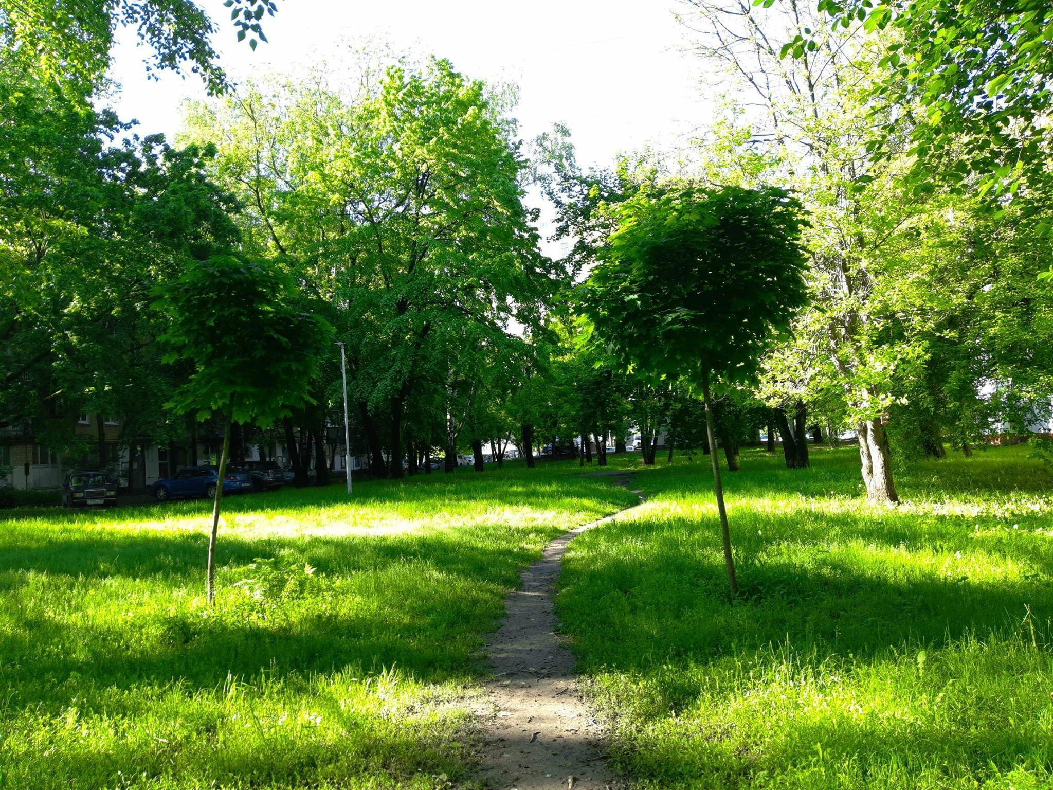 По неведомым дорожкам от 23. 01. 2013г