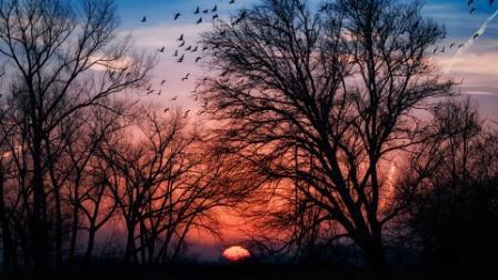 ХНЫКА ПРЕДЗИМНЯЯ