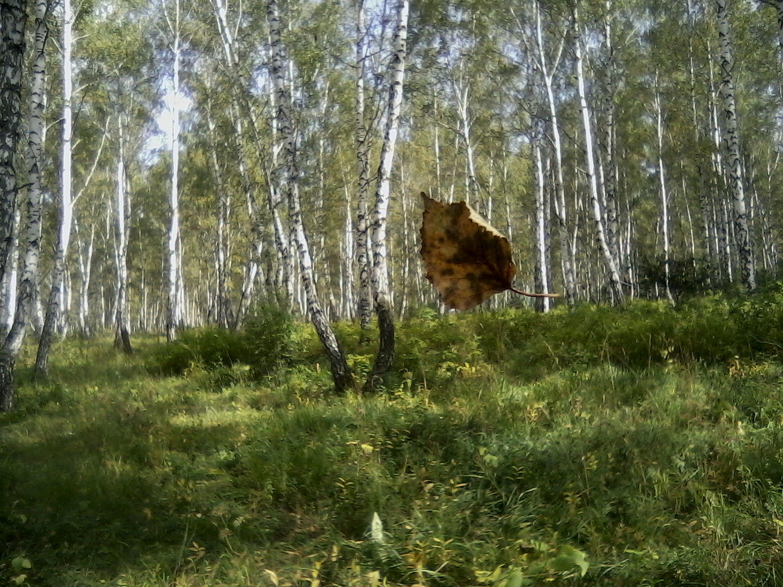 АВГУСТ - 2018г